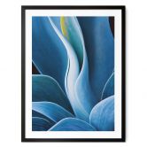 Poster Wechsler - Pflanzen Stillleben Agave 