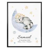 Personalisiertes Poster Kvilis - Waschbär 