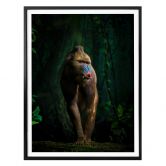 Poster Yunta - Im Dschungel 