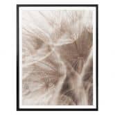 Poster Zarte Pusteblume 