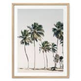 Poster Palmiers tropicaux sur la plage | L'ambiance des îles en été - Sisi & Seb 