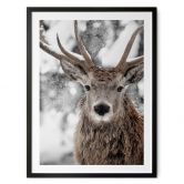 Poster Winter - Hirsch im Schneegestöber - Strigel 