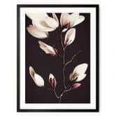 Poster Edle Magnolienblüten - Blumenposter - Treechild 