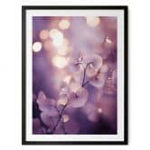Poster Zarte Orchidee in Lila - Treechild 