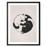 Poster Katten Ying & Yang - Tunaboylu 
