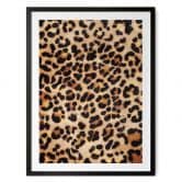 Plakat Vild leopard - Dyreprint - Tunaboylu 