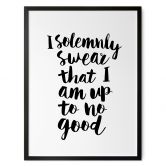 Spruch Poster I solemnly swear - Wilson 