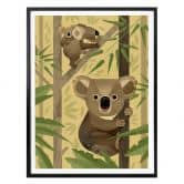 Poster Braun - Koala 