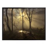 Poster Cuadrado - Light 