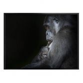 Poster Cuadrado - Tenderness 