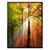 Poster - Goldener Herbst  
