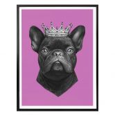 Poster Korenkova - King French Bulldog pink 