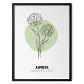Personalisierbares Poster Monatsblume April 