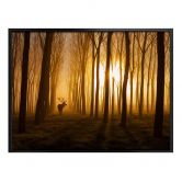 Poster Norim - Beauté des bois 