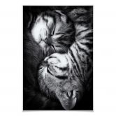 Poster Jancova - Sweet Kitten 