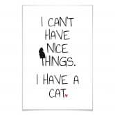 Poster I can't have nice Things - Cat 
