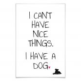 Poster I can\'t have nice Things - Dog 