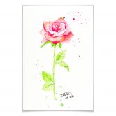 Poster Buttafly - Rose 