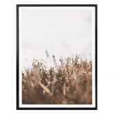 Poster Annie - Wiesengräser - Hochformat 