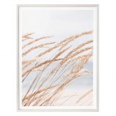 Poster Dünengras - Hochformat 