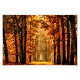 Poster van de Goor - Herbstallee 