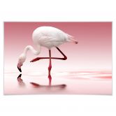 Poster Reindl - Pink Flamingo 