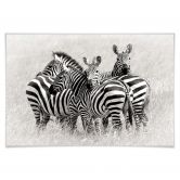 Poster Trubitsyn - Zebras in der Savanne 