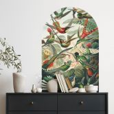 Wandtattoo Rundbogen Wandpaneel Kolibris - Haeckel - breit 