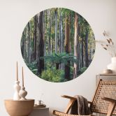 Eukalyptusskov i Yarra Ranges Wallsticker - Colombo - Round 