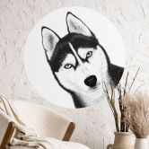 Wandtattoo Sibirischer Husky - Hundeporträt - Korenkova - Rund 