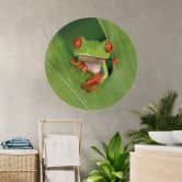 Wandtattoo Laubfrosch im Regenwald - van Duijn - Rund  