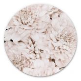 Alu-Dibond 1X Studio - Aster Apricot - Rund 