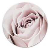 Alu-Dibond 1X Studio - Edelrose - Rund 