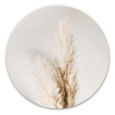 Alu-Dibond 1X Studio - Gebundenes Pampasgras - Rund 