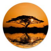 Wandbild Afrika - Alu-Dibond Rund 