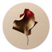 Wandbild Elegantes Blatt in Gold und Rot - Alma - Alu-Dibond Rund 