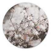 Alu-Dibond Annie - Wildblumen - Rund 