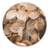 Alu-Dibond Annie - Zarte Blüten - Rund 