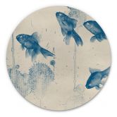 Alu-Dibond Blaue Fische - Rund 