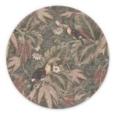 Wandbild Tukan im Tropenwald - Bloomery Decor - Alu-Dibond Rund 