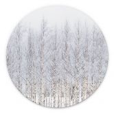 Wandbild Birkenwald im Winter - EMELIEmaria - Alu-Dibond Rund 