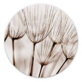 Wandbild Fliegerschirmchen - Alu-Dibond Rund 