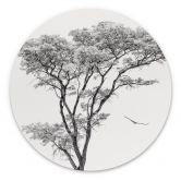 Wandbild Minimalistischer Baum in ruhiger Landschaft - Flour - Alu-Dibond Rund 