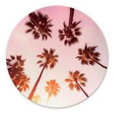Wall Art California Dreaming with palm tree view - Hugonnard - Alu-Dibond Round 
