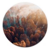 Wandbild Herbstwald im Nebel - Ioricon - Alu-Dibond - Rund 