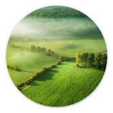 Wandbild Idyllische Felder im Nebel - Keller - Alu-Dibond Rund 