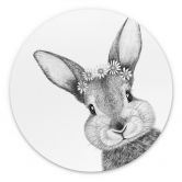 Rundes Wandbild Niedlicher Hase mit Kamillenblumen - Korenkova - Alu-Dibond 