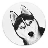Rundes Wandbild Sibirischer Husky - Hundeporträt - Korenkova - Alu-Dibond 