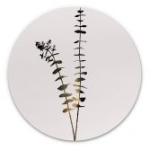 Tableau en alu-Dibond Kubistika - Eucalyptus noir et doré - Rond 