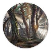 Wandbild Heiliger Kiefernwald - Ryu - Alu-Dibond - Rund 